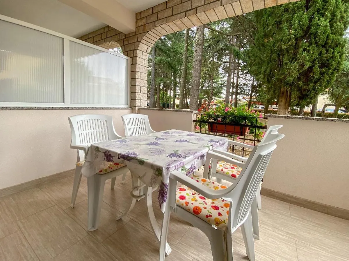 Elena Four Apartment Novigrad